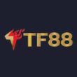 tf88